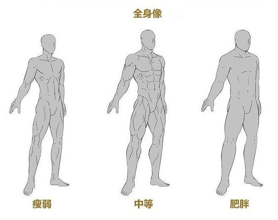 男性7种身材类型图片