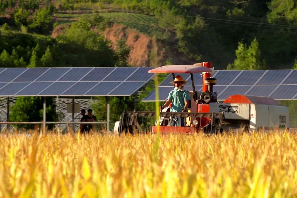 旬阳新增7家省级农业产业化龙头企业位居全市第一