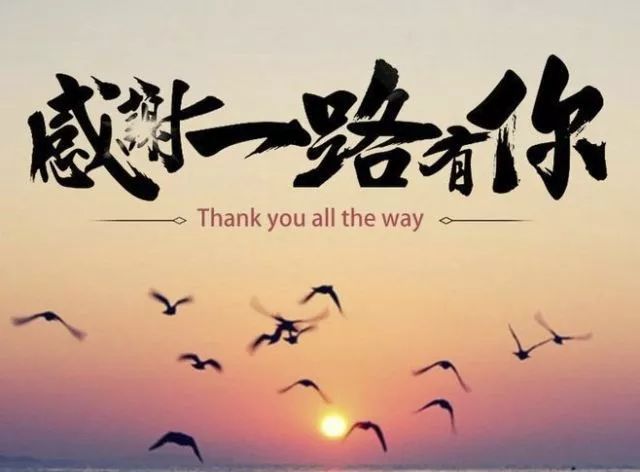 乐都在线感恩一路有你,感谢陪伴!