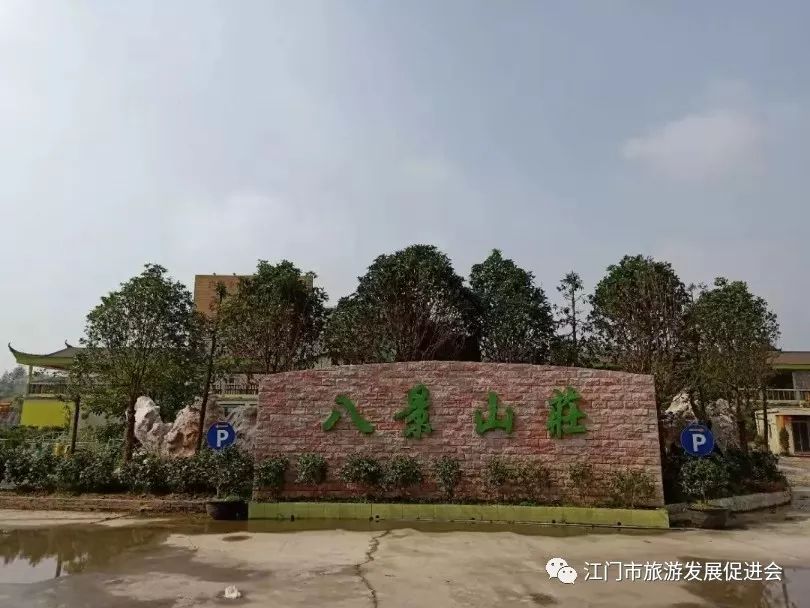 定了定了,第二届鹤山(八景)海棠茶花美食节将举办