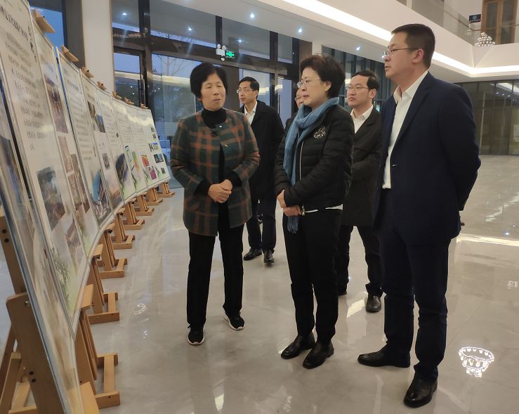 省农业农村厅副厅长刘嫔珺来浔调研美丽乡村建设