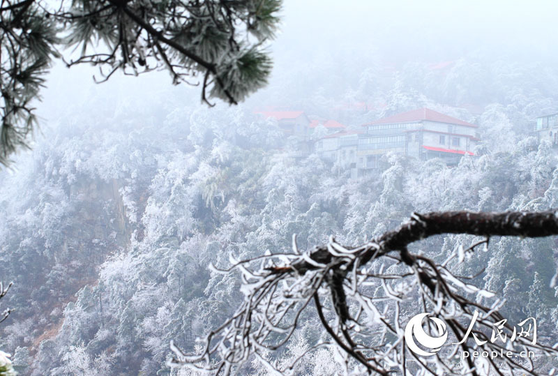 庐山雨凇图片