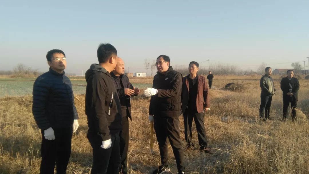 不忘初心牢记使命县委副书记于波同志带队到庆云镇白庙村开展清理荒草