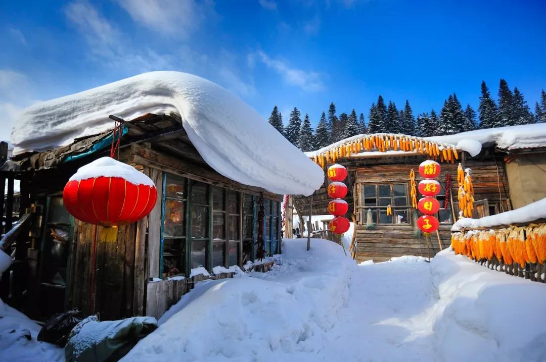 毕竟到雪地里撒点儿野 才算不辜负整个冬天 雪乡 雪乡的雪,像极了东北