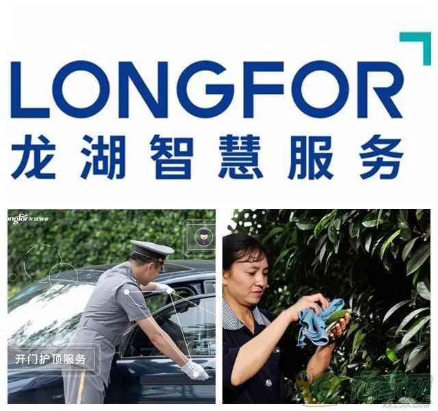 龙湖物业服务有限公司公司介绍