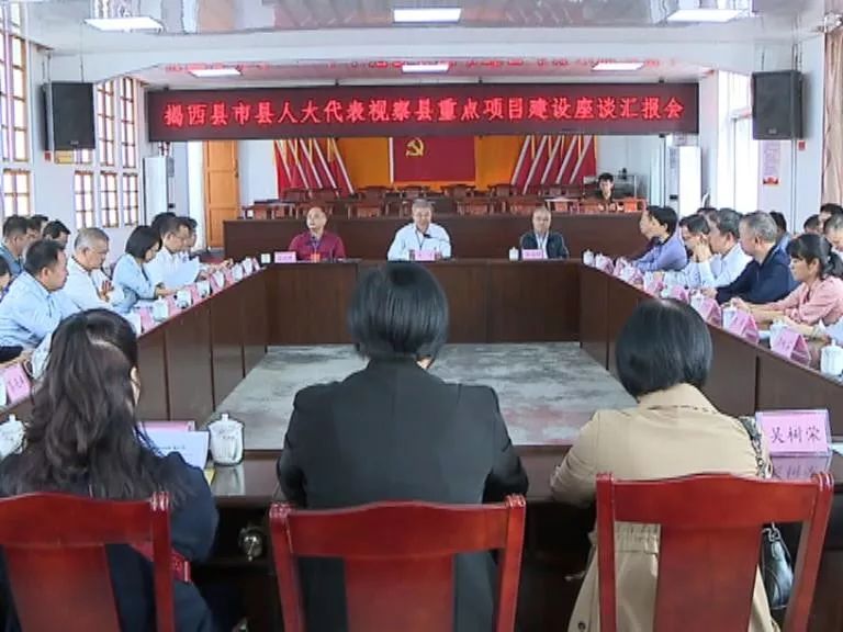 揭西县人大常委会组织市县人大代表视察重点项目建设