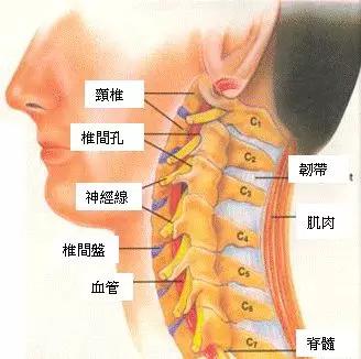 详解颈椎病病因分类辩证及相关的治疗方法