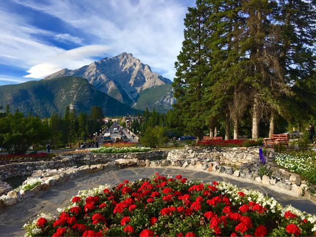 全世界那么多国家我唯独钟情加拿大