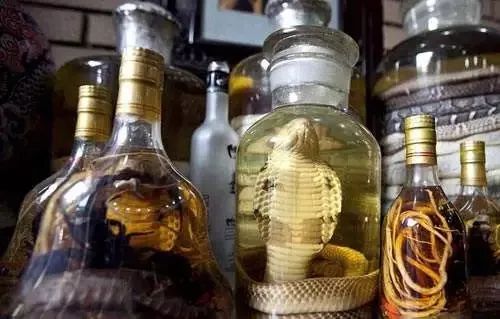 经鉴定,娥阿婆收购的雕鸮,蛇雕和泡酒中鹰科鹰属物种均属于国家二级