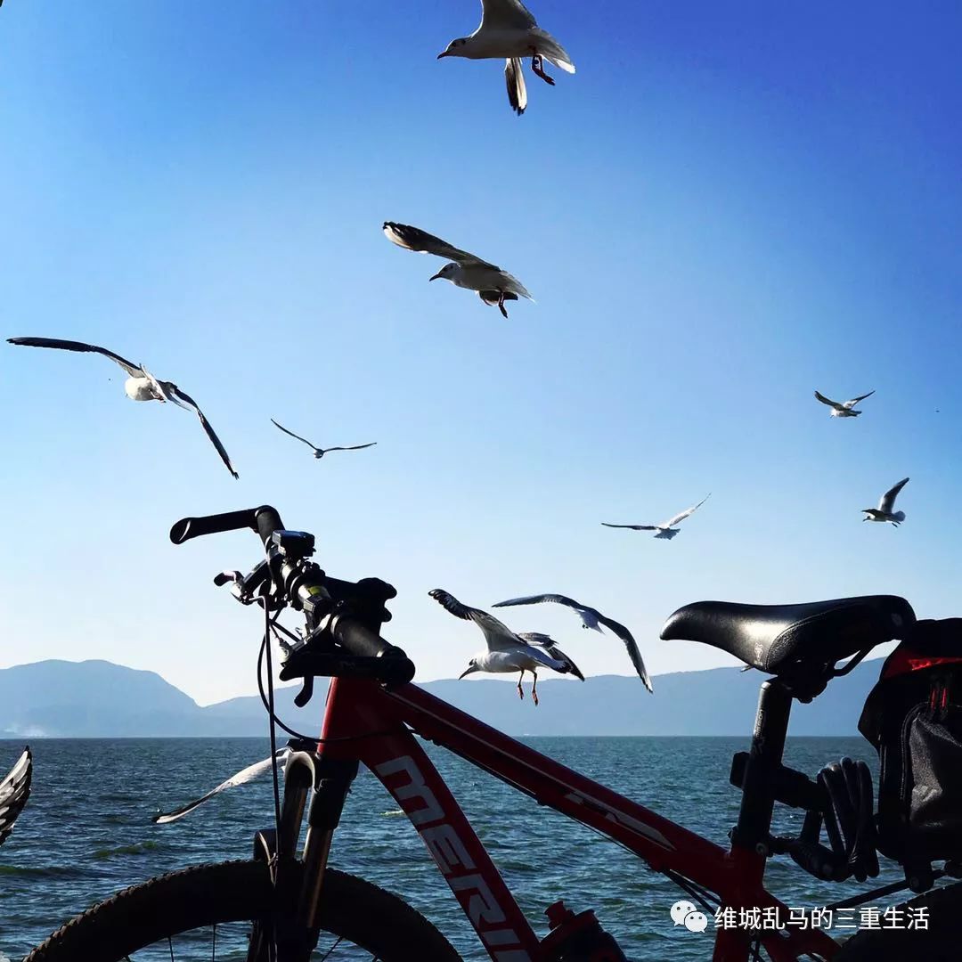 微信头像骑自行车风景图片