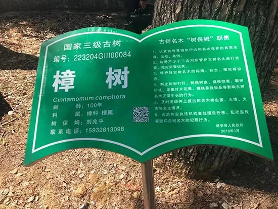 推动绿色发展:"绿心"之城江西靖安环境与经济实现双赢