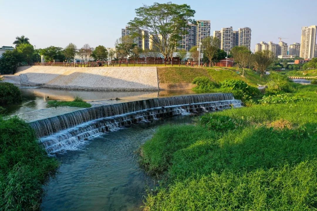 深圳「塞納河」免費開放!美到犯規! _大沙河