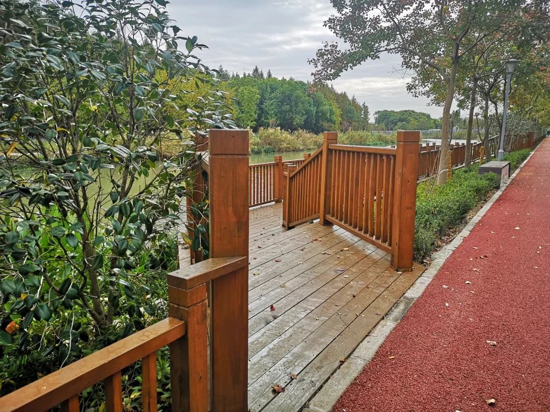 长宁这段河道生态景观建成了雨水花园亲水平台透水步道实景图抢先看