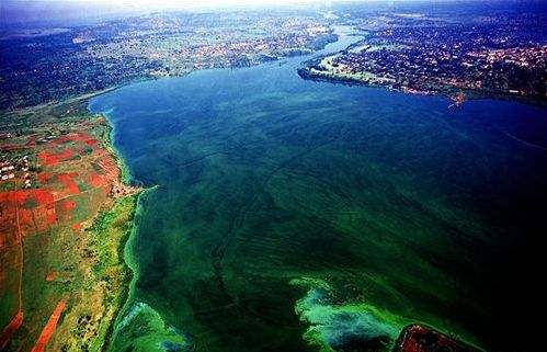 去了此生无憾_冲积平原