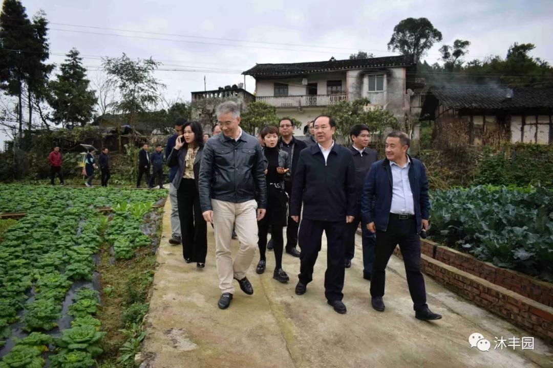 重庆市财政局局长封毅一行莅临沐丰园生态农场调研乡村振兴工作