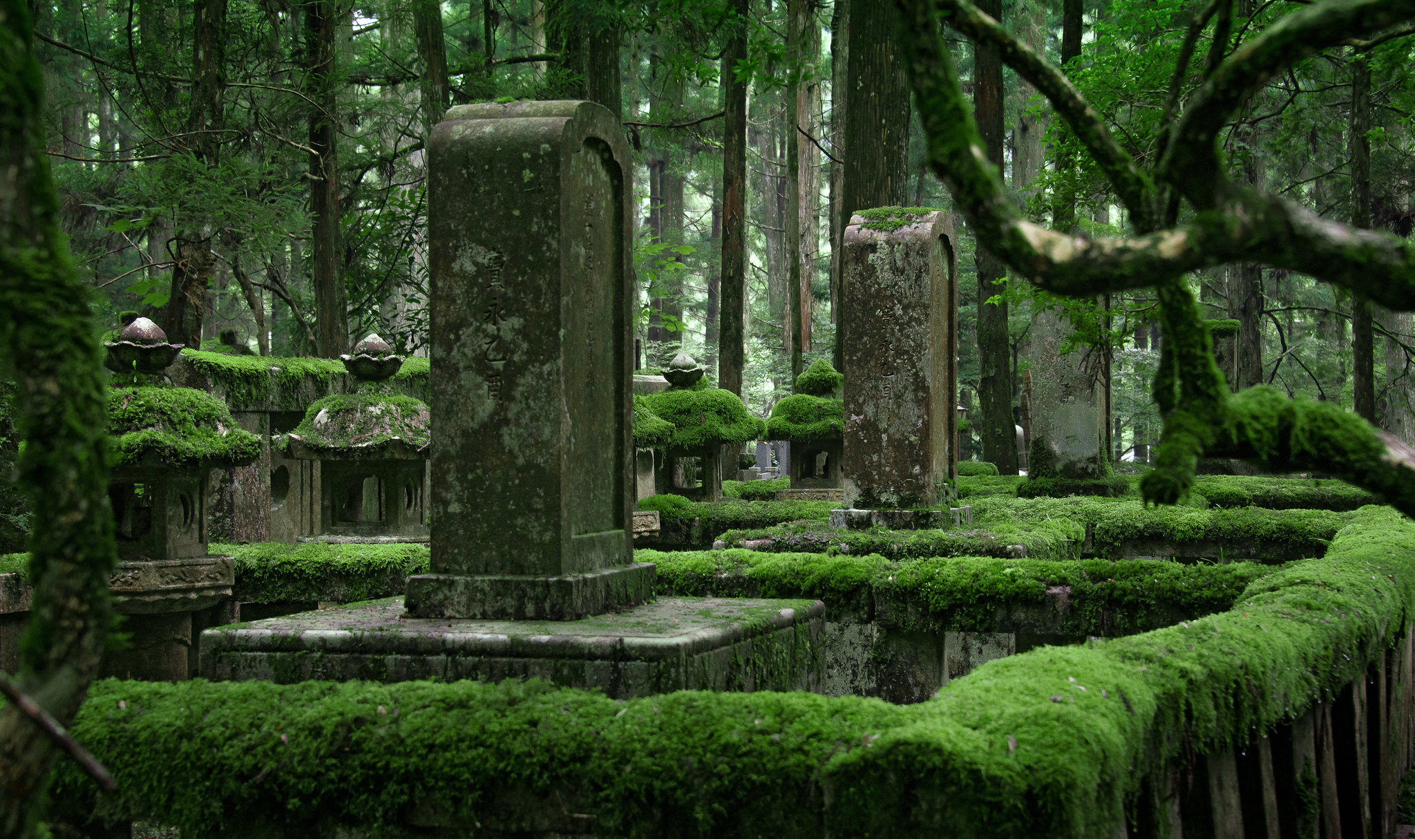 日本青山公墓图片