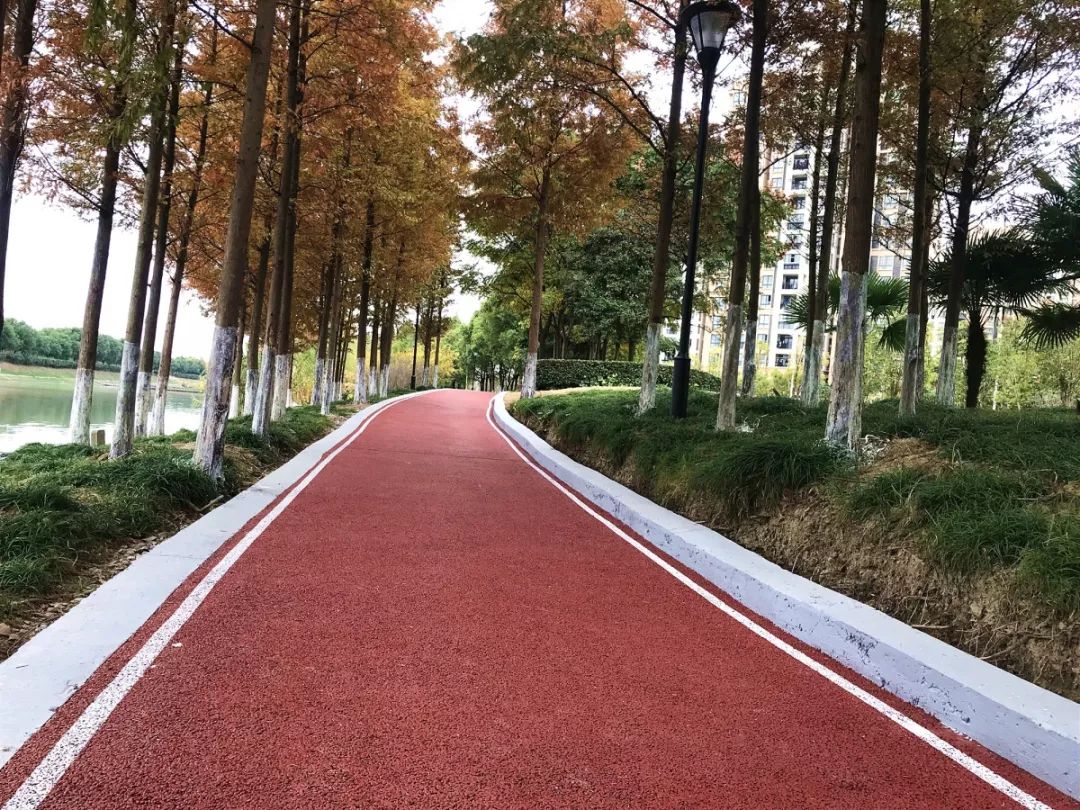 便民步道球场嘉定多了10个健身好去处有你家附近的吗