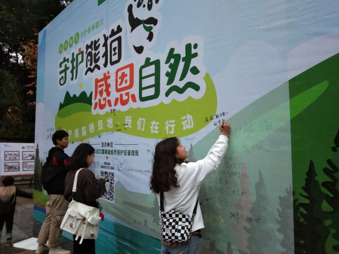 野生大熊猫栖息地露营是什么体验?小伙伴们周