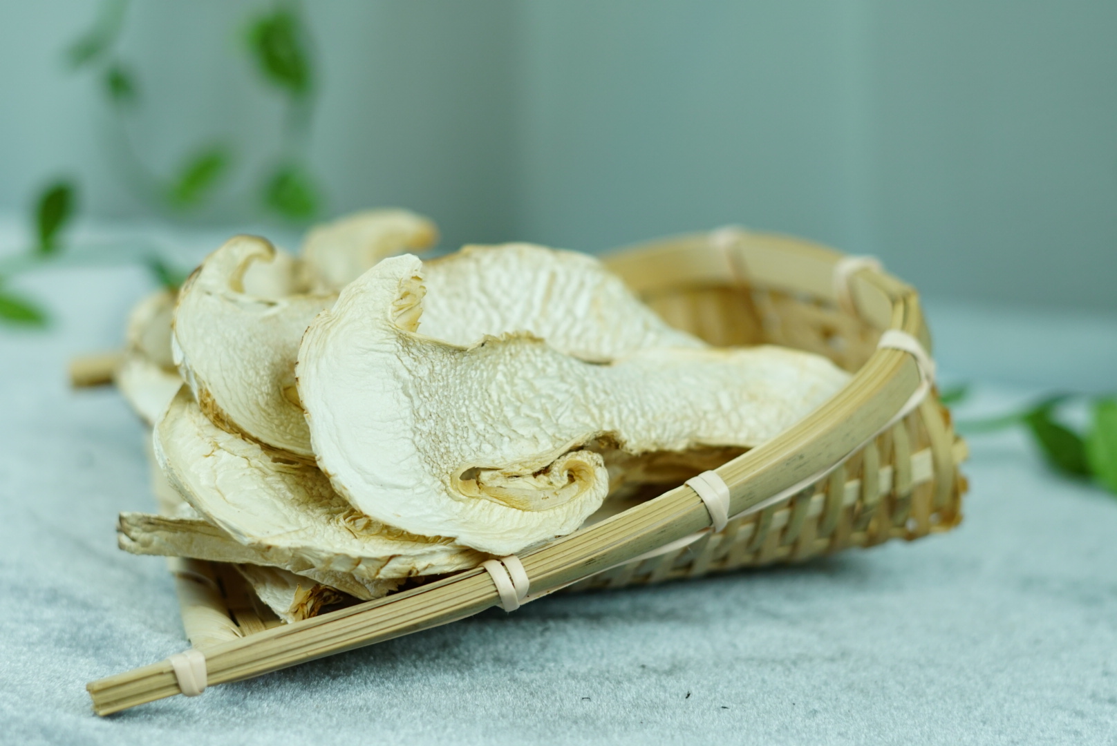 你知道松茸的功效和营养价值吗?