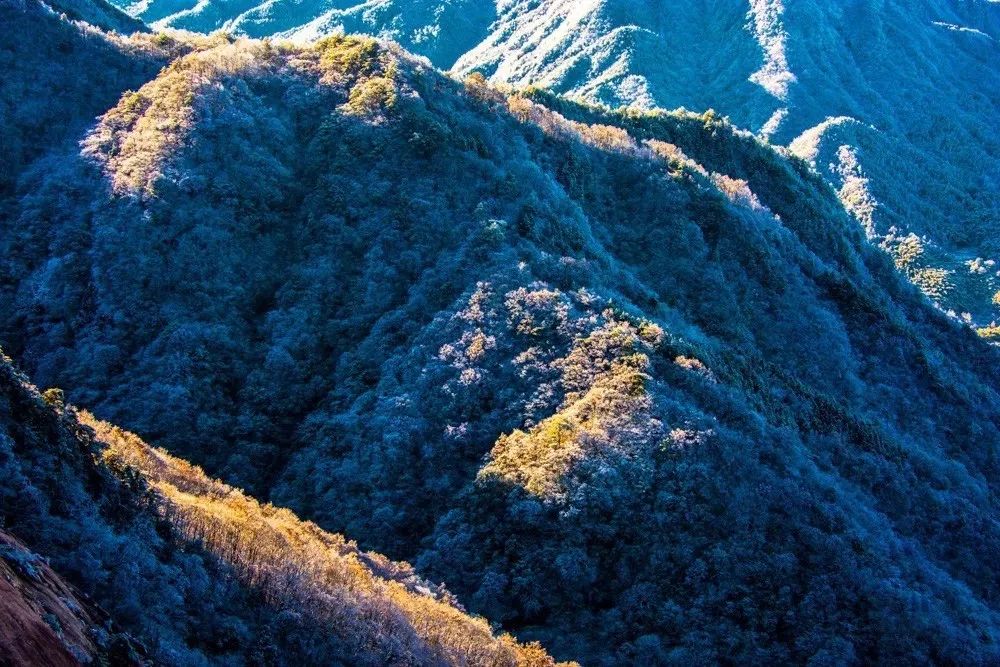 67一场雪美了大别山更醉了天堂寨一起来体验中原之地的北国风光吧