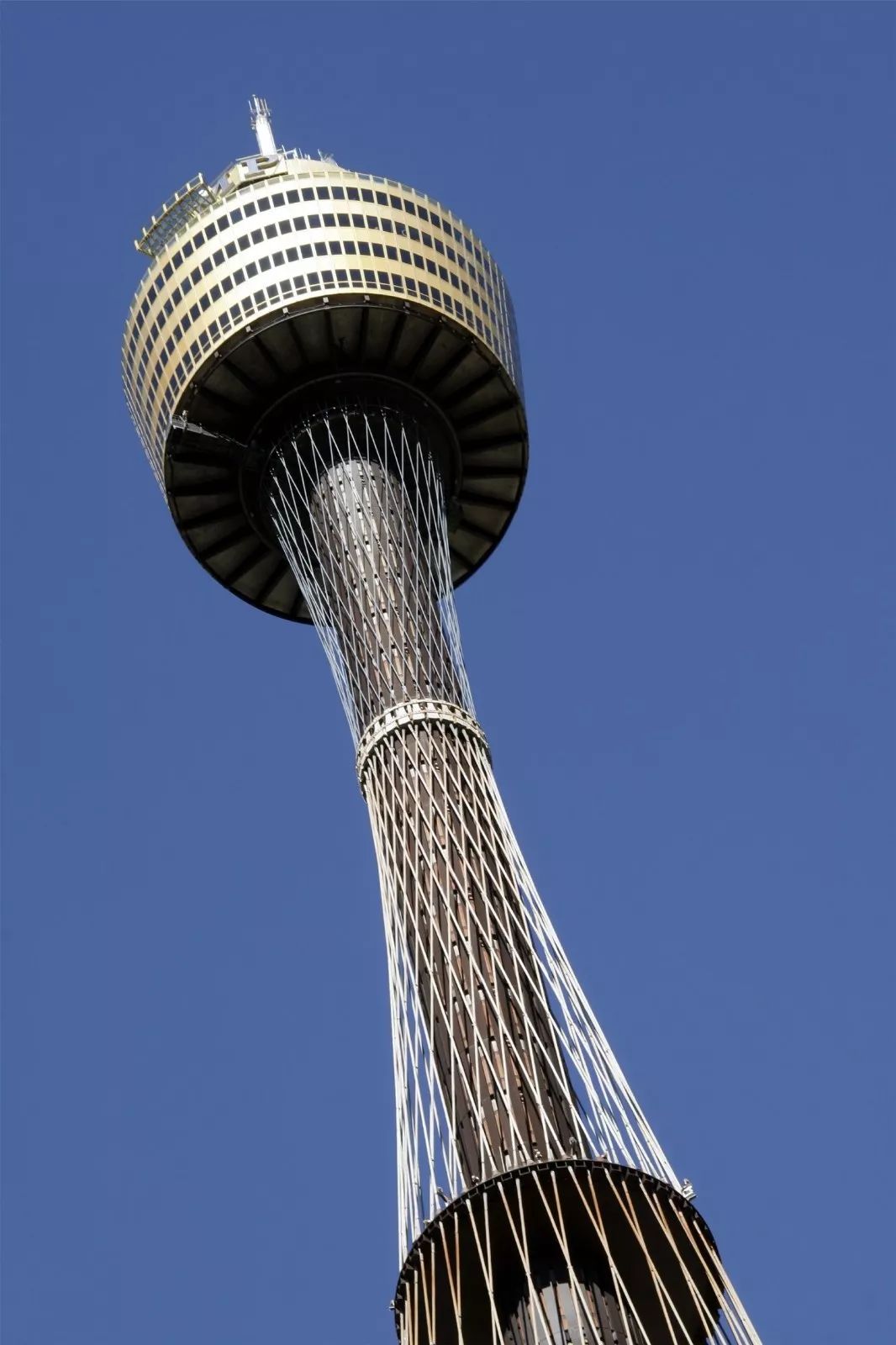 澳大利亚悉尼塔跨年烟火趴悉尼歌剧院无尾熊爱的抱抱神仙小企鹅咻咻蹦