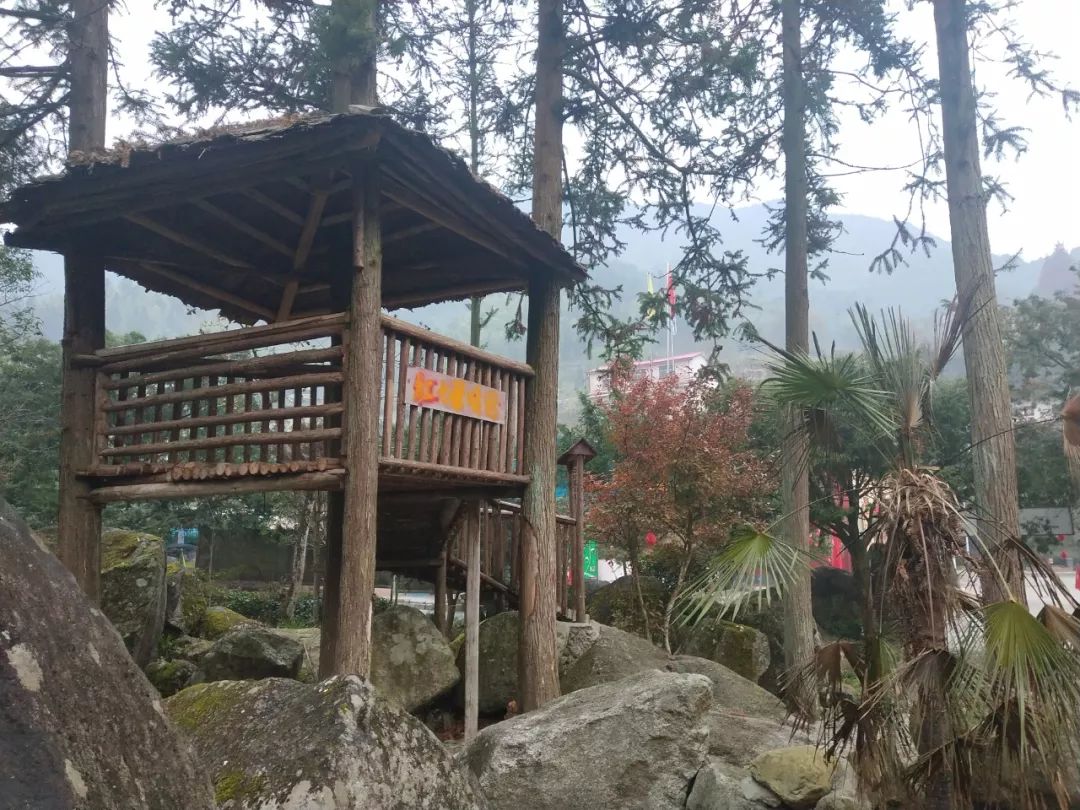 桂北全州大西江炎井景区,面貌一新的温泉你去过吗?_池子