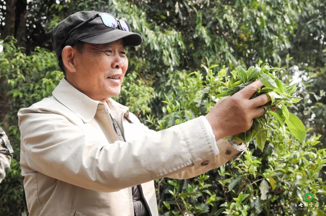 任怀灿:把最美好的云南献给世界