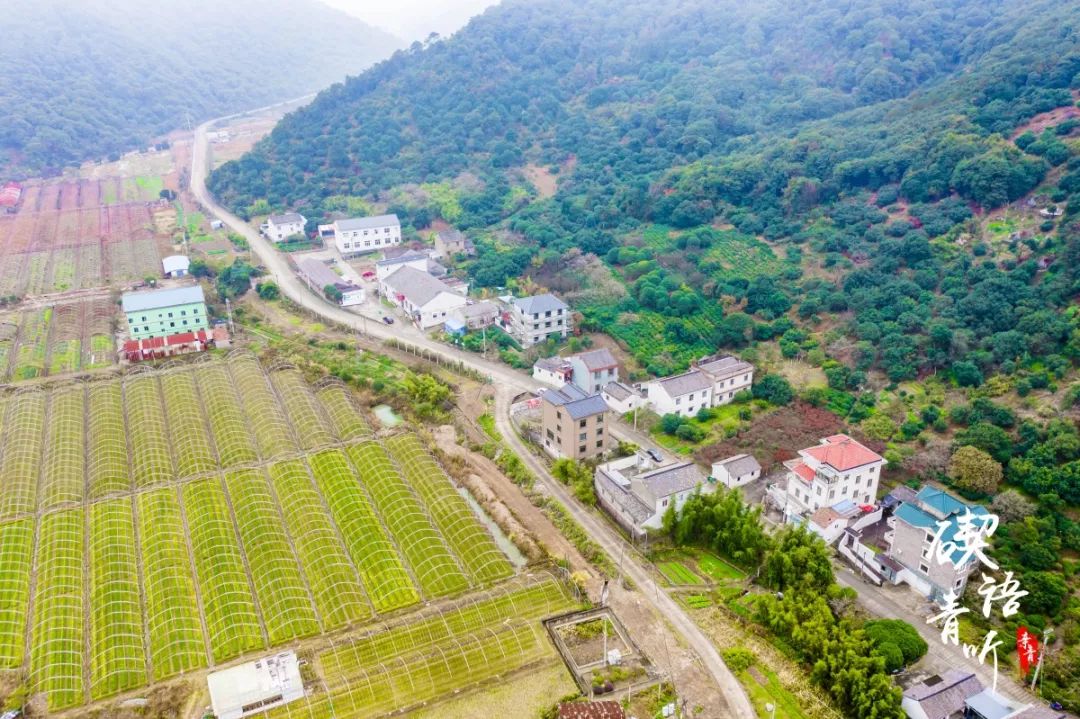 在新路村的不远处建造着一个新路岙水库,它可不只是