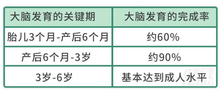 務必幫寶寶抓住一生1次的大腦發育