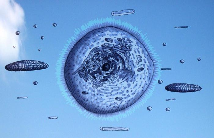 龙是大气层生物神秘的大气层巨兽真的存在吗