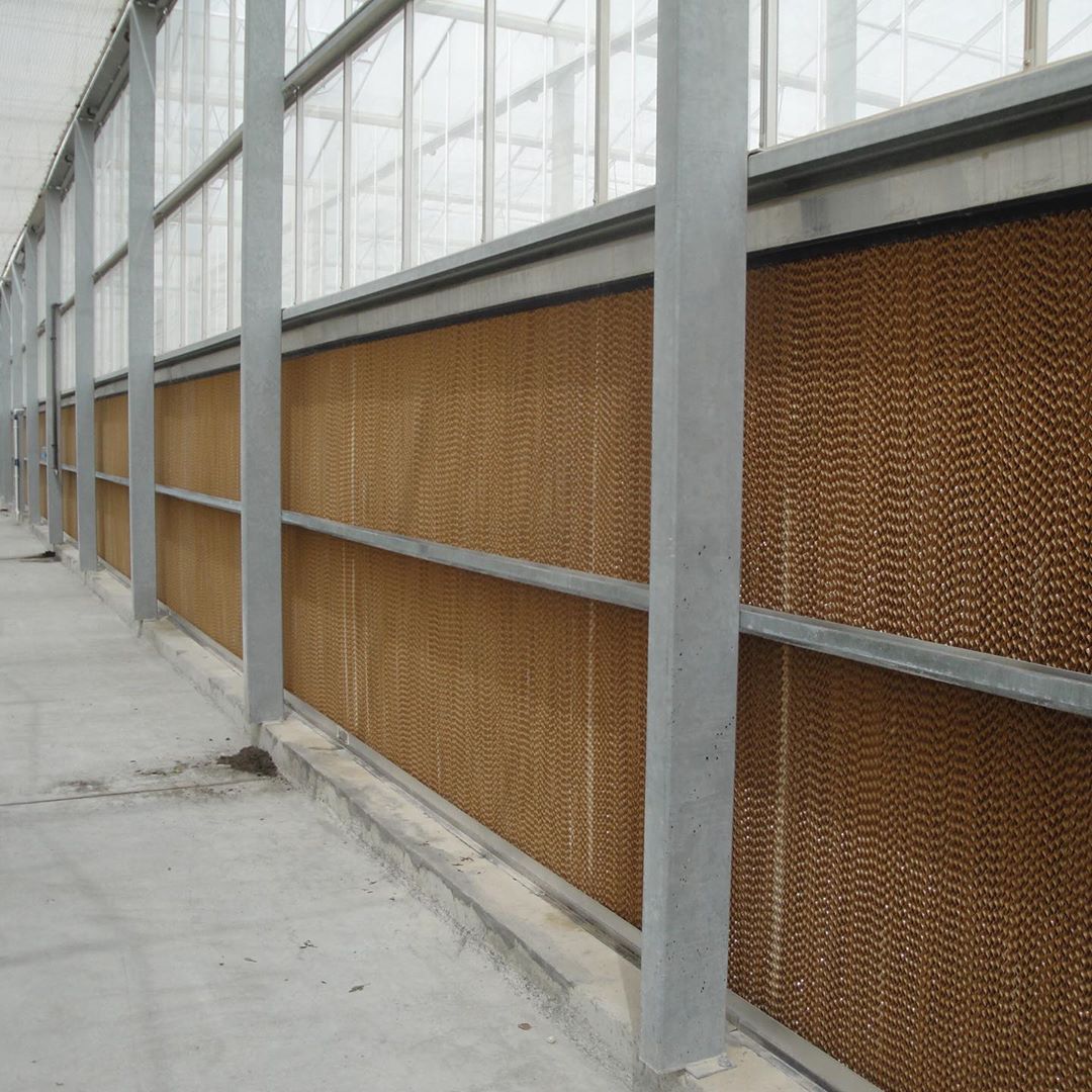 原创温室大棚中湿帘降温系统该如何选择