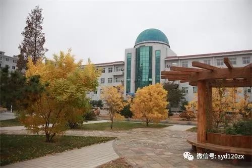 凌源这所中学火了入选省示范省特色快看是您的母校吗