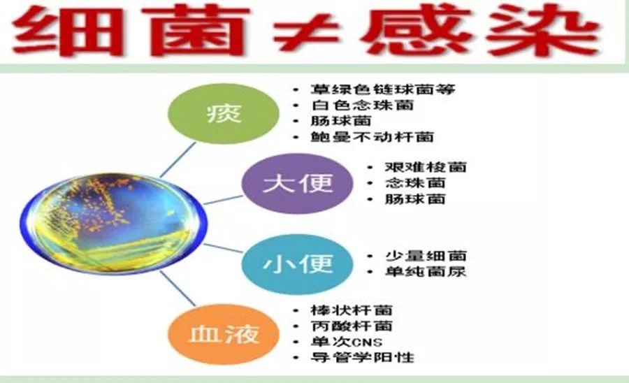 多重耐药菌标识颜色图片