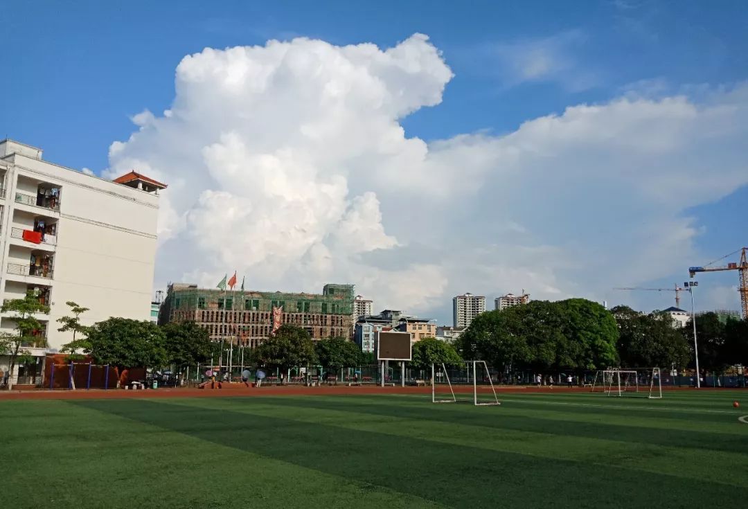 00 阳光下的我们不知不觉已经过去了大半个学期,进入了医学生的考试月