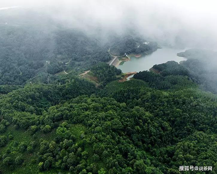 曼夕山位於勐海縣打洛鎮中緬邊境交界處,海拔1700米,常年雲霧繚繞.