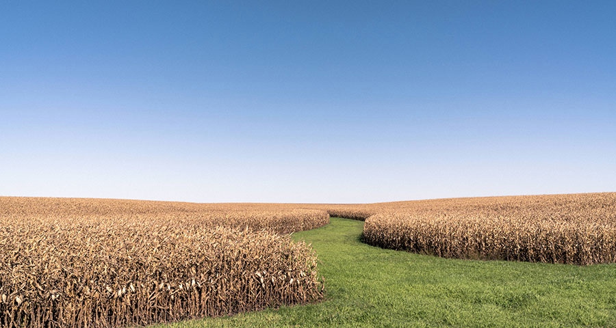 彩电行业下一个反弹黄金点出现:索尼海信要全面拥抱屏的海洋-家电圈官网