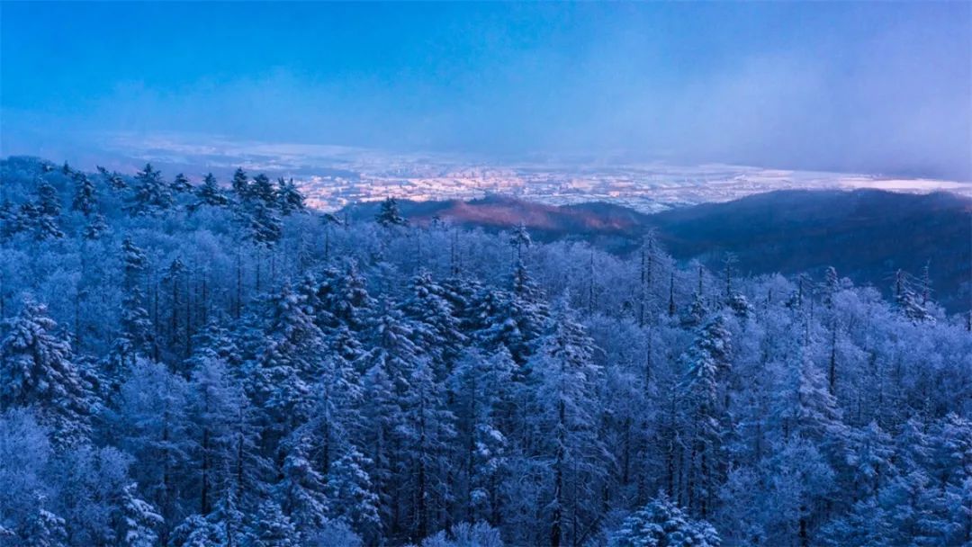 冬韻箐山冰雪之冠李昕攝影佳片賞析