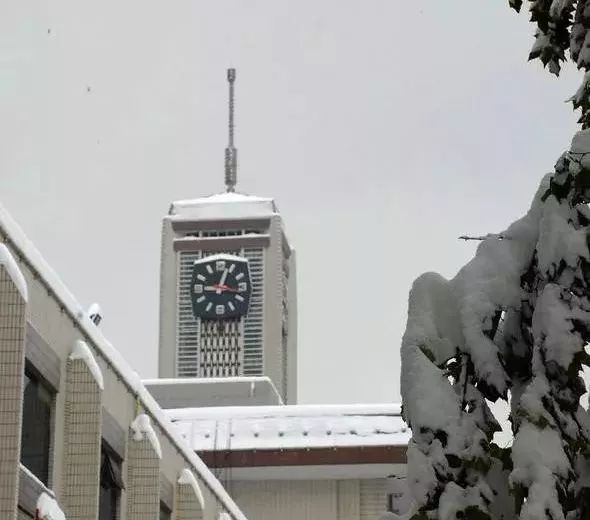 还记得2009年的那场大雪吗?48张私家照,重现那年那人那事儿_石家庄