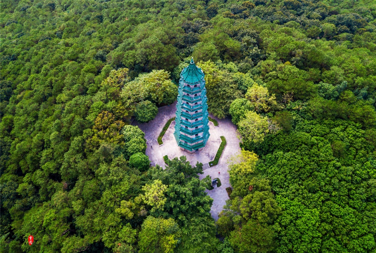 原创南宁这个5a景区很亲民,票价20元还打5折,10元可以玩一整天