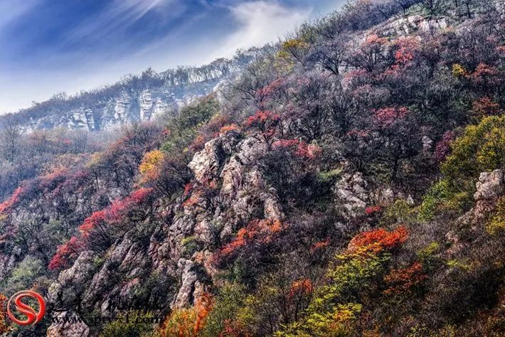 美丽遂平:初冬,红石崖!