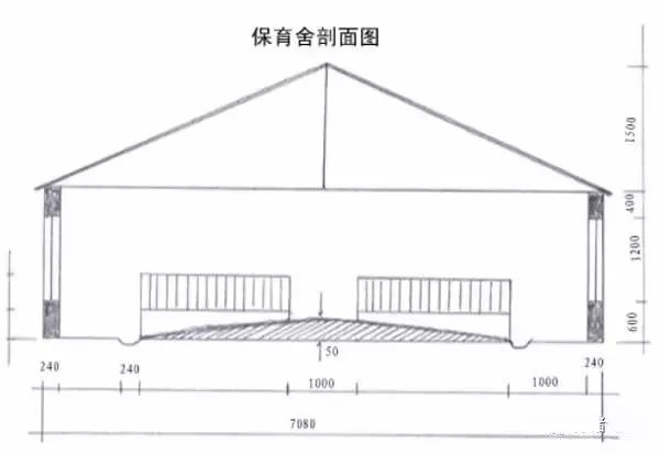 100頭母豬養豬場設計圖