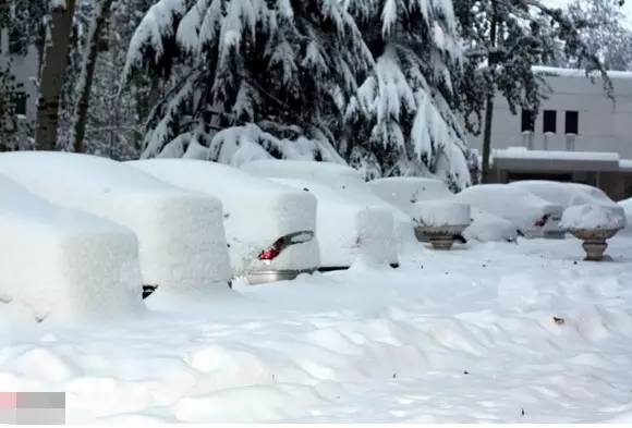 雪雪雪!将持续.还记得2009年的那场大雪吗?