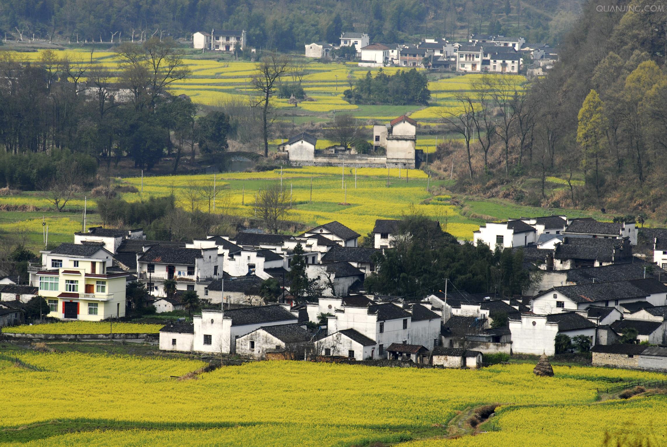 陈宁一/文始于2018年的农业用地整顿,让乡村旅游也受到了牵累.