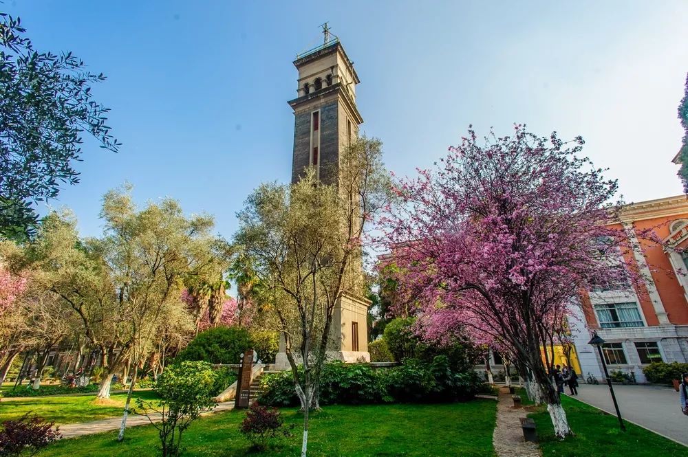 云南3所高校上榜国家级榜单,有你的母校吗?