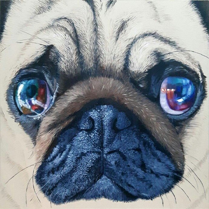 动物肖像插画,萌萌的小眼神-王氏教育