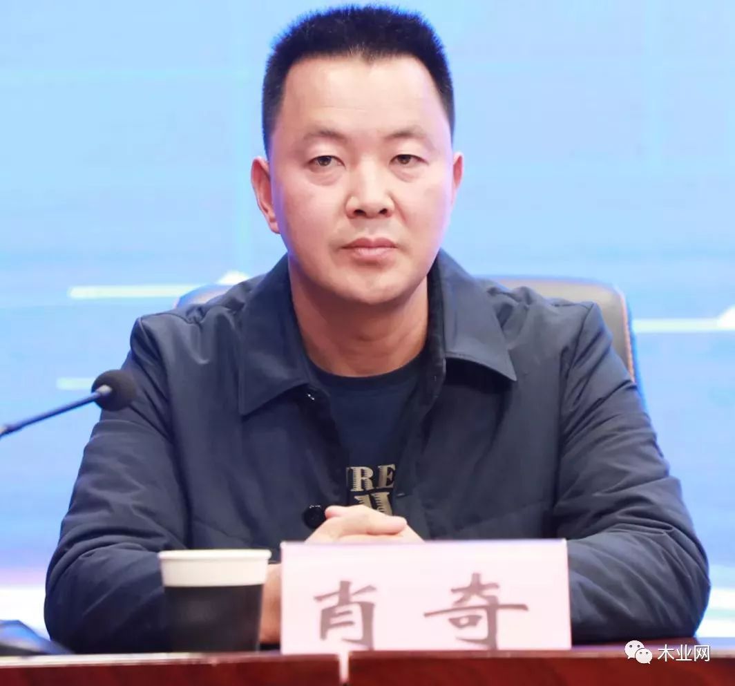 桑墟镇召开木制品安全生产暨环境保护工作推进会