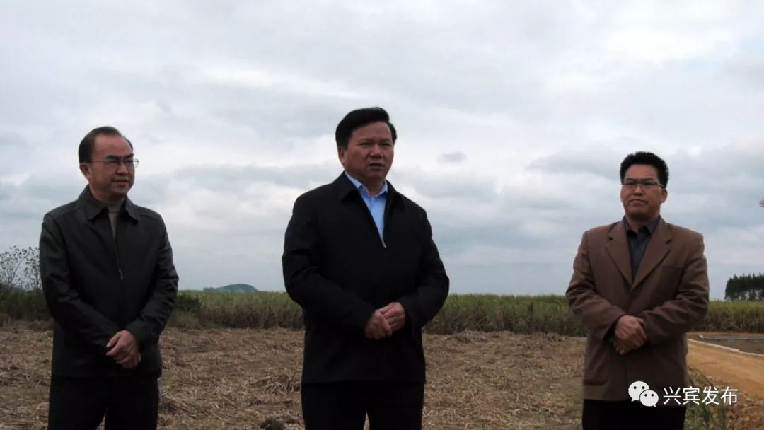 调研区委书记杨添才到乡镇调研旱改水项目
