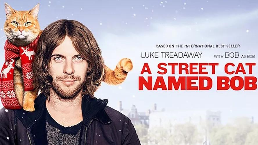 流浪猫鲍勃astreetcatnamedbob
