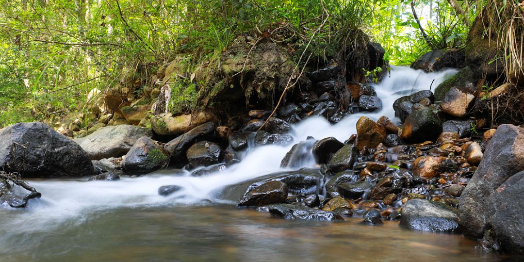 三明将乐河长制让白莲风景美如画