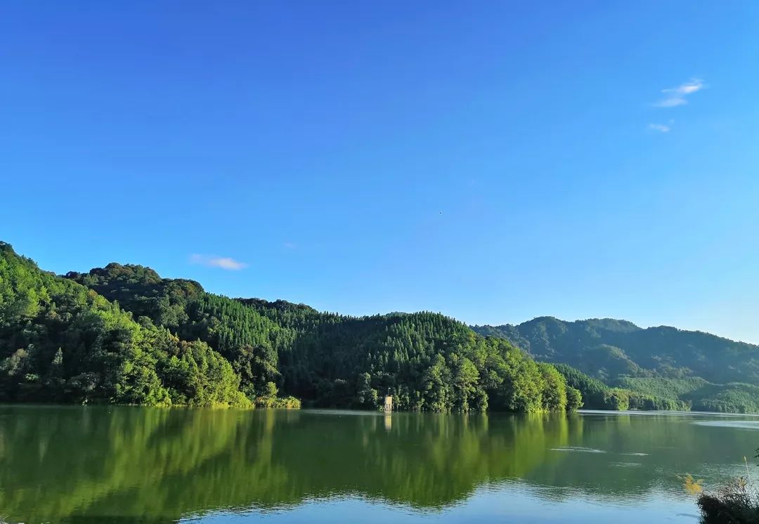 三明将乐河长制让白莲风景美如画